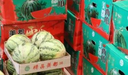 朝阳吃瓜最新事件爆料新闻,揭秘最新爆料事件真相